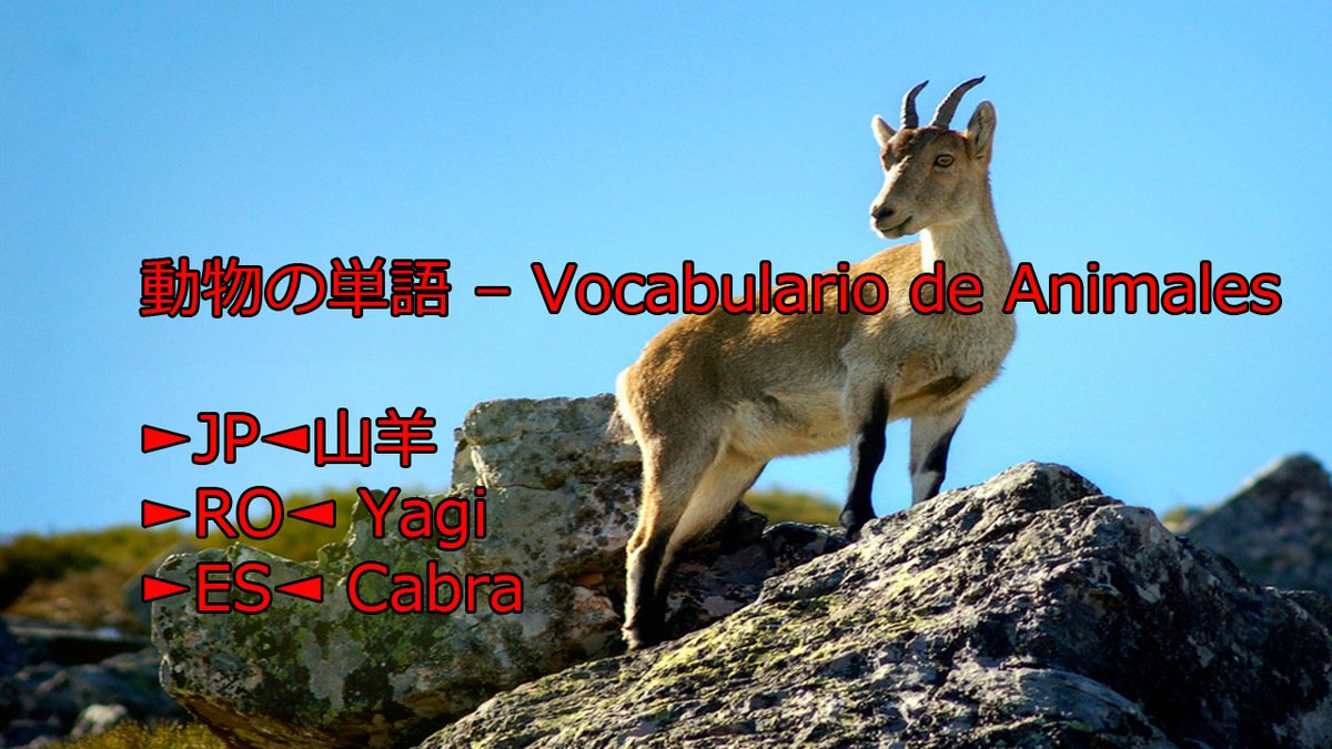 teshimide's tweet image. Aprender japonés es fácil y divertido.
@teshimide