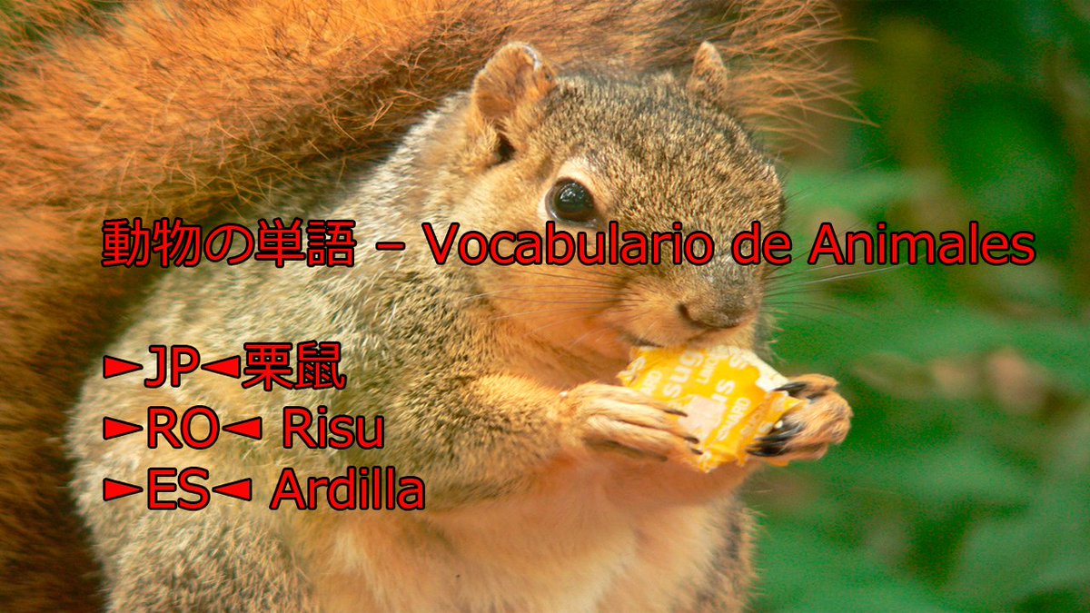 teshimide's tweet image. Aprender japonés es fácil y divertido.
@teshimide