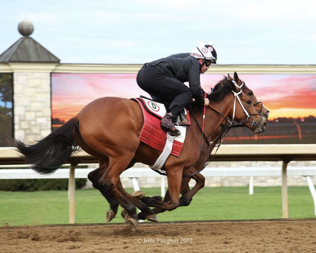 Spent a lovely morning #keeneland
