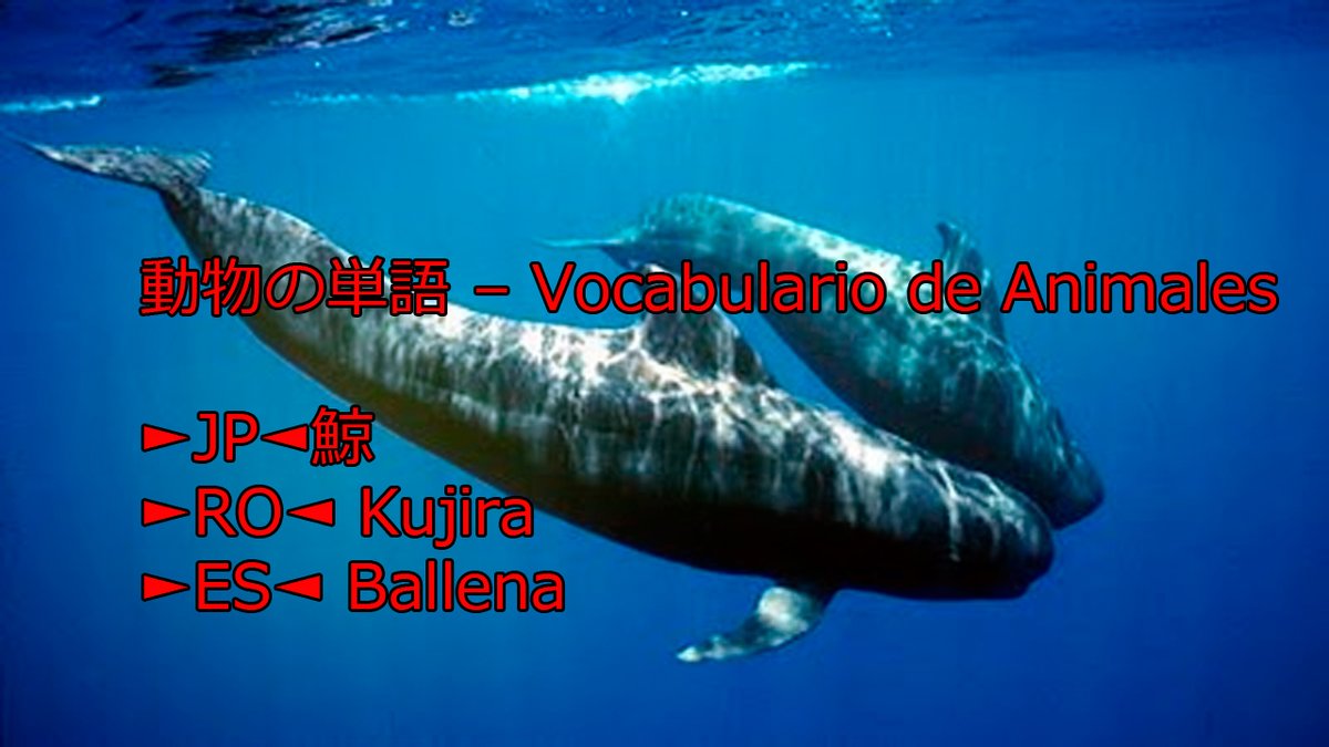 teshimide's tweet image. Aprender japonés es fácil y divertido.
@teshimide