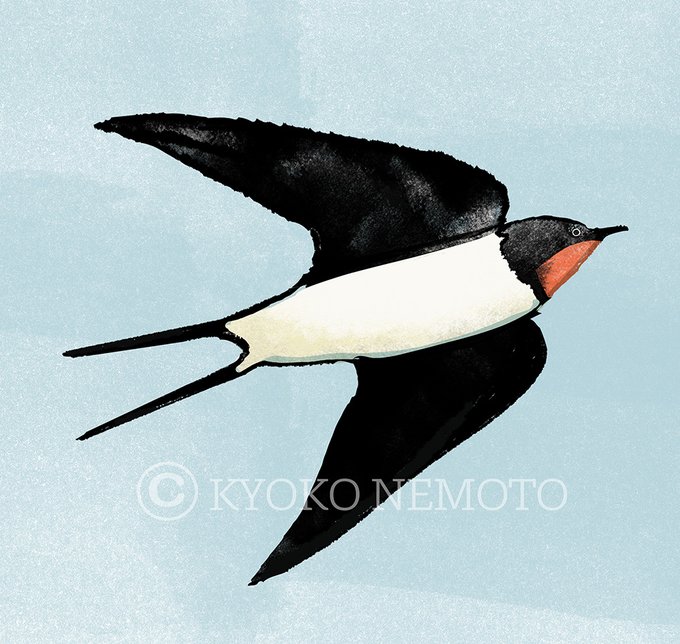 ツバメのtwitterイラスト検索結果 古い順 ツバメのtwitterイラスト検索結果 古い順