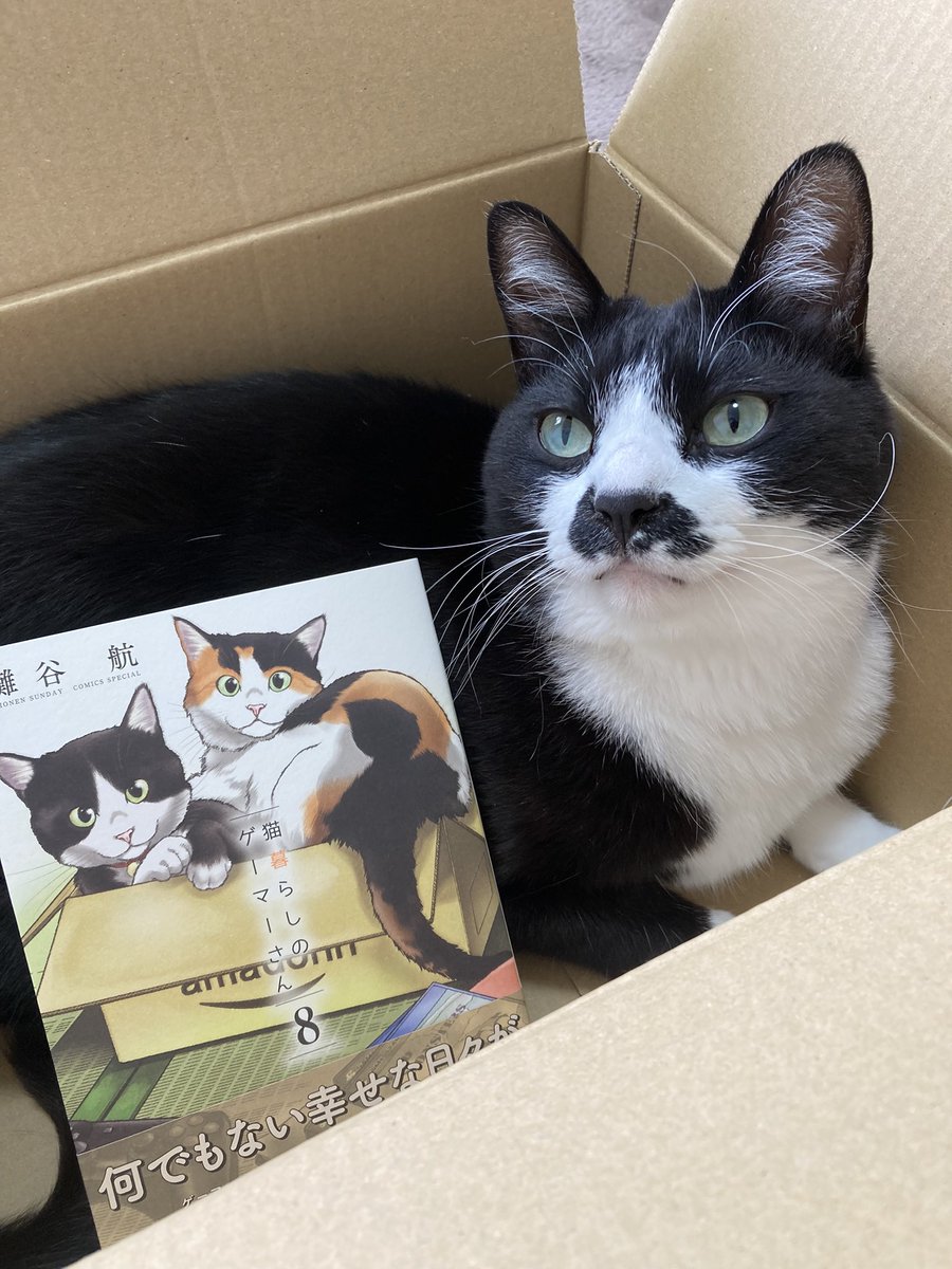 灘谷航 『猫暮らしのゲーマーさん』1〜8巻発売中🐈 (@nadatani) / Twitter