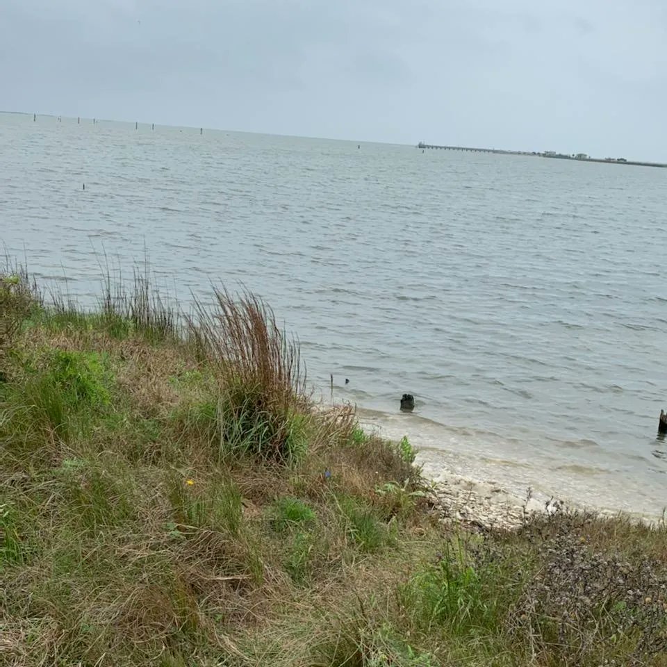 SouthTexasToast's tweet photo. Activated K-3016 Goose Island State Park today. Other than weird QRM today had a great activation. #pota #packtenna #parksontheair #hamradiostuff #hamradiofun #hamradio #yaesuft891 #mfjmast #bioenno #bioennobattery https://t.co/4O6BsTp8I2