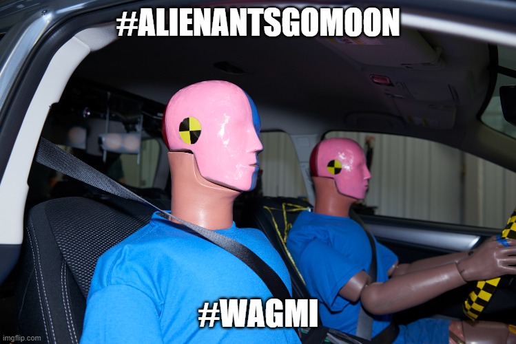 Sol_Alchemist's tweet photo. @AlienAntsGen1 #AlienAntsGoMoon #AAApoc #AlienAntAnthology #AlienAntCodes $AAA #survivorserver #Antkrieg #Antacalypse #chitchit #SolanaNFTs #ethereumNFTs #nfts #nfts #NFTCommunity https://t.co/mcFLYz9GTZ