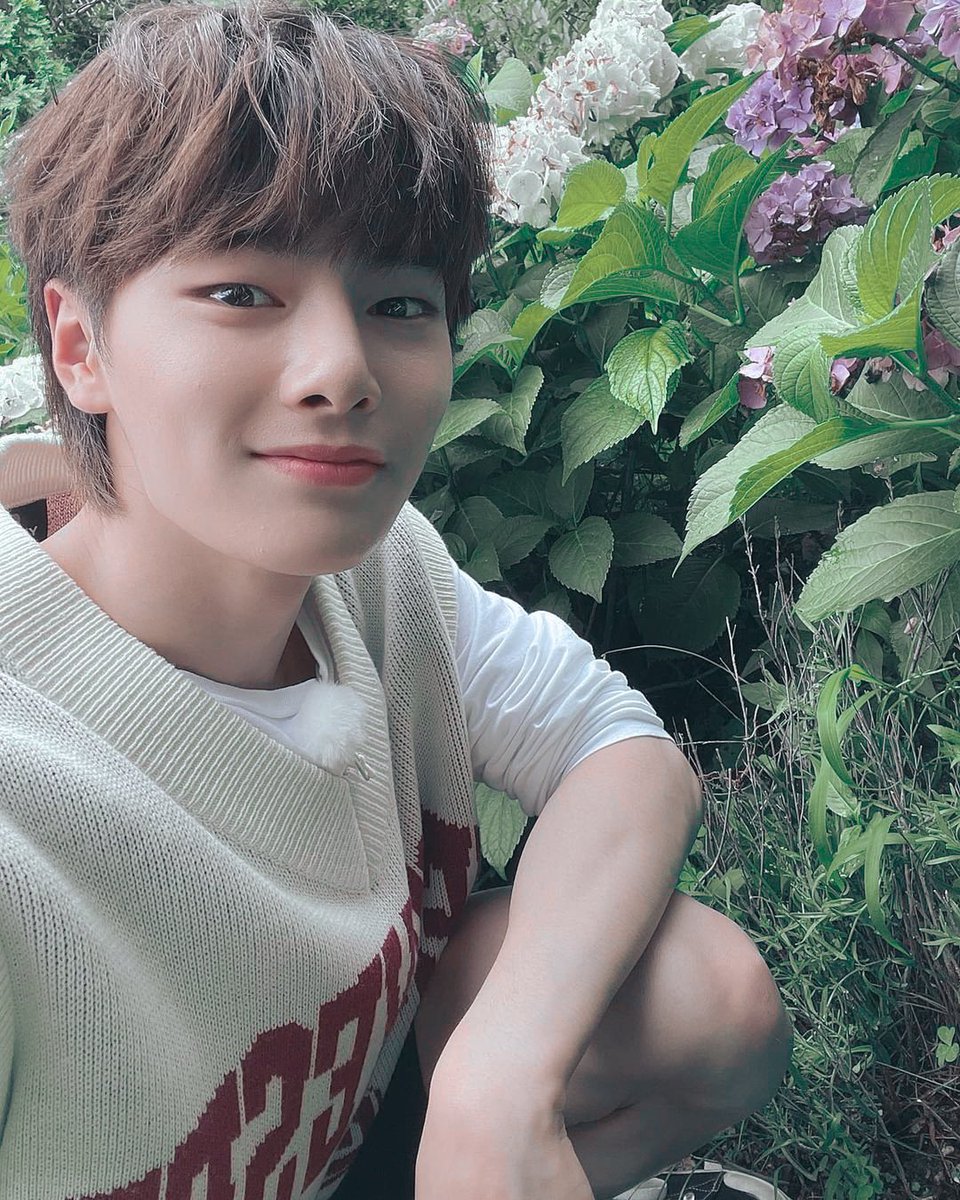 devonmarrow_'s tweet image. dev plantito era~ 😼🌱

good morning, tl !!! \(^-^)/