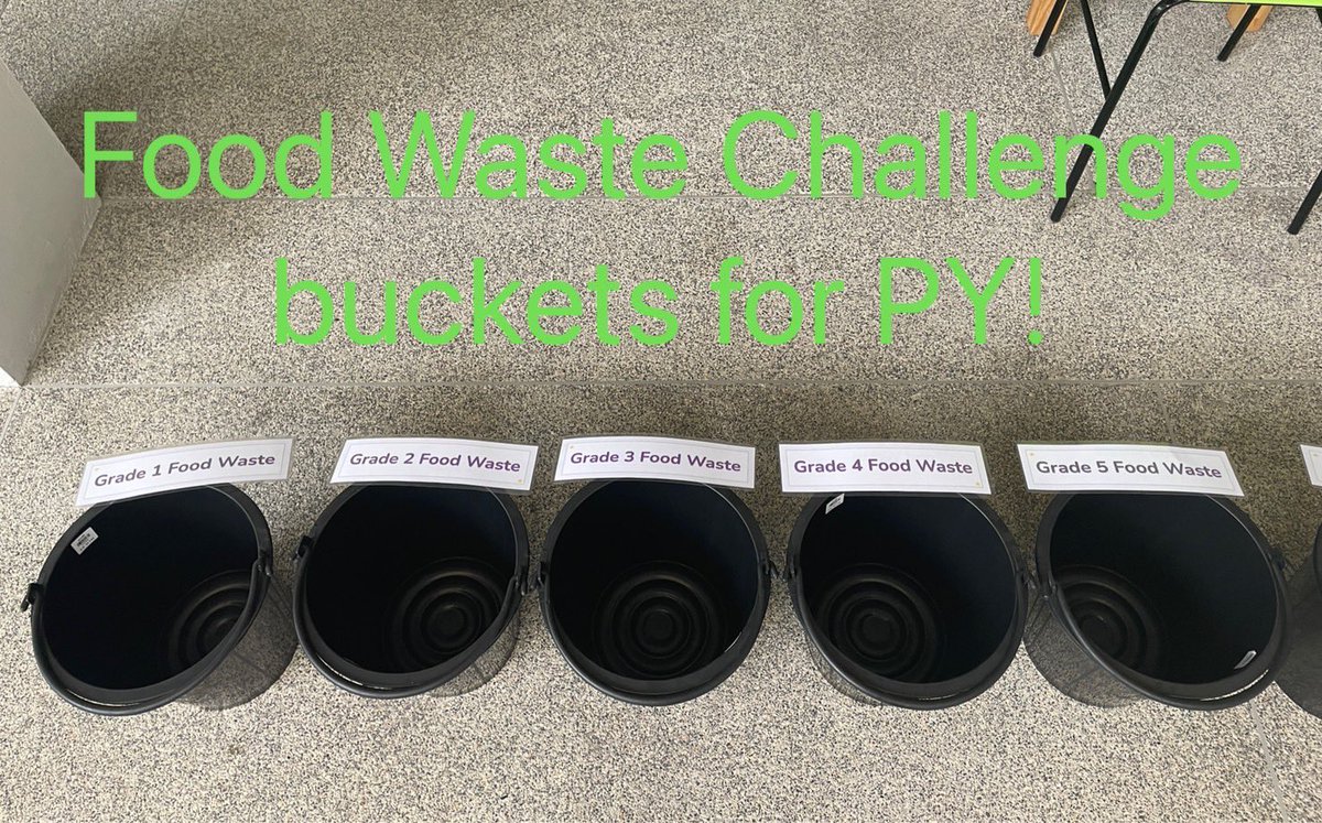 melleytaylor's tweet photo. It’s #earthweek2022 @MYISMagic & the Ss are ready for a wk of provocations & inquiry. what are our current actions & what could we be doing better to help the planet? @ibpyp #authenticlearning #teaspoonsofchange @SDGsForChildren https://t.co/iEzBUftJgW