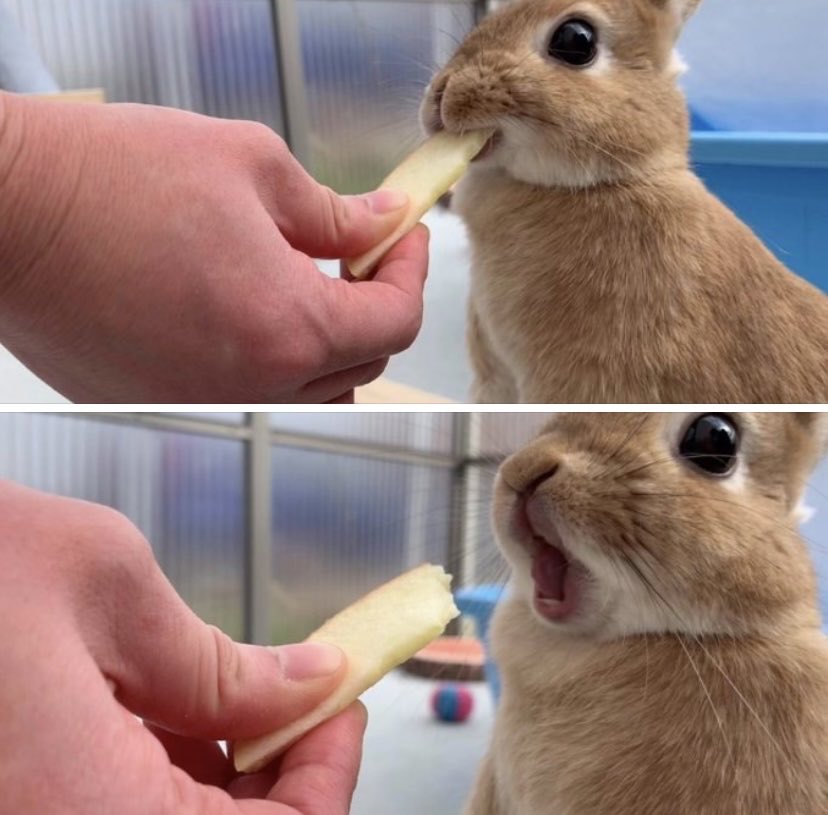 AzimutWan's tweet image. Tiens mange Pampan

Hum C’est bon c’est quoi?

Du kinder 😈😂