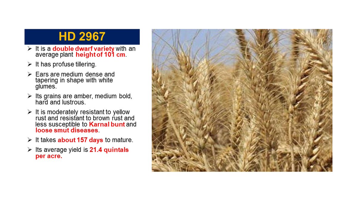 Agrobipiniari's tweet photo. https://t.co/qGSBSpP44y