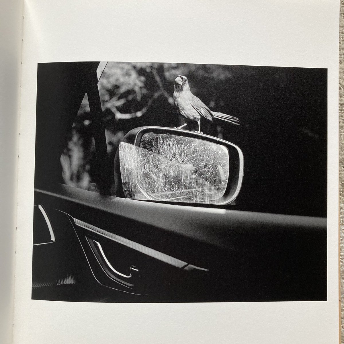 Photobook Junkies tweet media