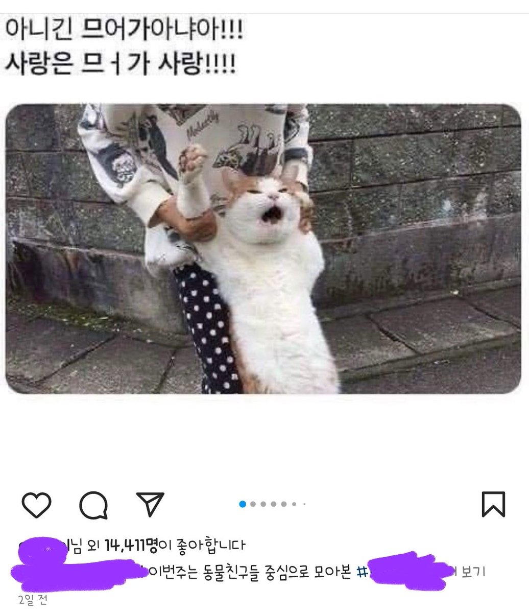 인스타에서 귀여운 동물칭구짤을 보는데 
갑자기 내 가수가 열창하고 있을 때

Now playing #BTS_Butter by #BTS on my music playlist <a href="/BTS_twt/">방탄소년단</a>