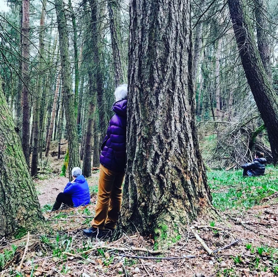 human_gardener's tweet photo. MEET OUR GUESTS - THE NATURAL GARDENER - 🌱WOODLAND WELL-BEING 🌱 - Faith Douglas teaches mindfulness in nature and forest bathing  @HarrogateFlower  @ThorpPerrow @forestbathinguk #humangardener #harrogateflowershow #flowershow #gardener #community #support #needs #forestbathing https://t.co/MQx5pCv6z3
