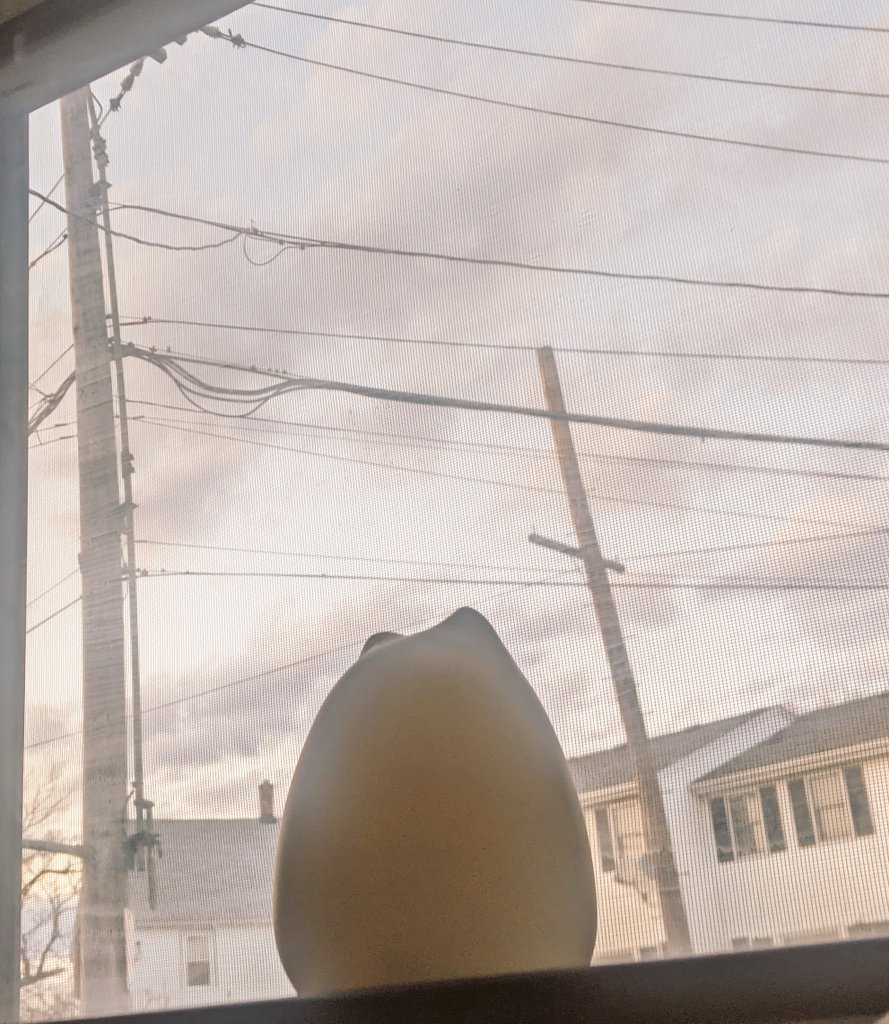 🍓🦢🥐🌹💭 tweet media