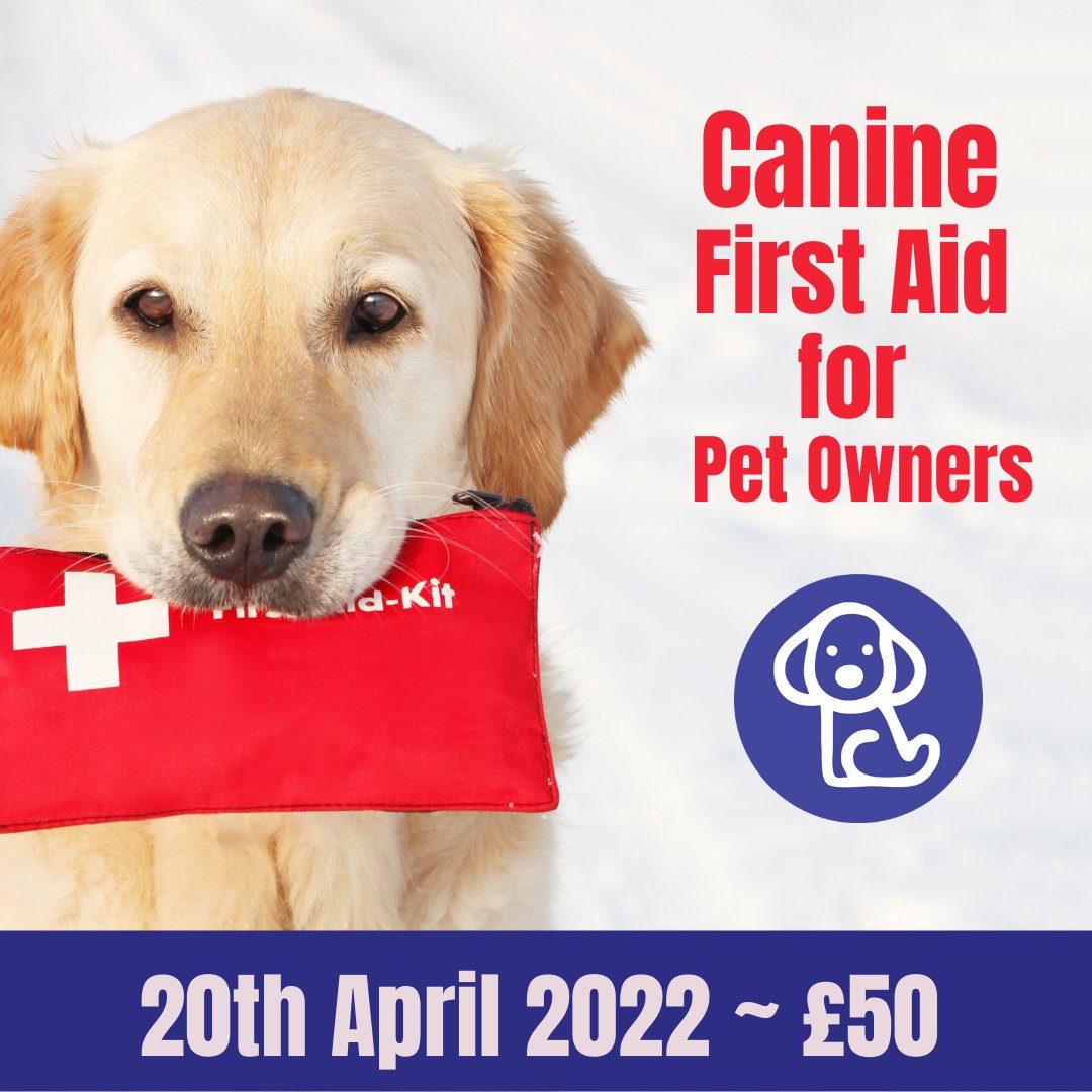 Themutneysdog's tweet image. Only 2 days to go until #Mutneys Canine First Aid Course! 

Learn more about basic first aid for your dog from a trained professional and receive hands on experience! It's not too late to get your ticket! 

Please visit: mutneys.com/shop/canine-fi…

#caninefirstaid #petcare