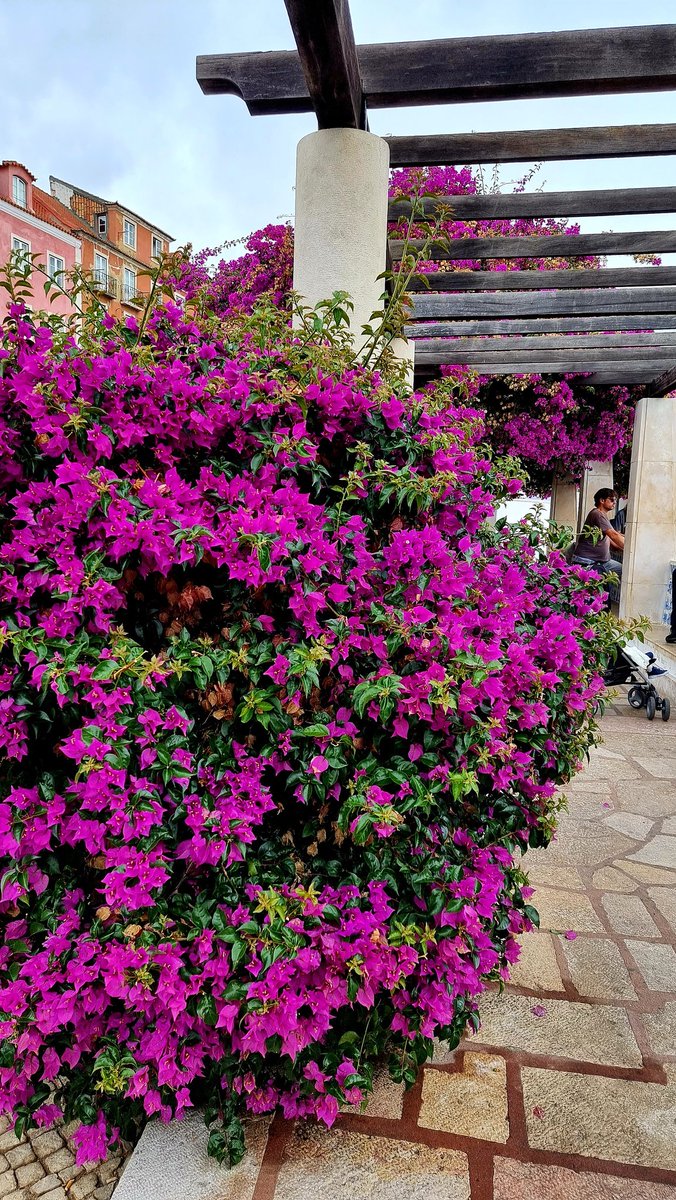 yoursundayguide's tweet photo. Have a wonderful sunny week 😊❤ 
...
https://t.co/VeXCG0IDvq 
...
#Yoursundayguide #MondayMotivation #mondaythoughts #MondayMorning #traveling #travelphotography #travelbloggers #travelbloging #beautiful https://t.co/x5rqxzMf2A