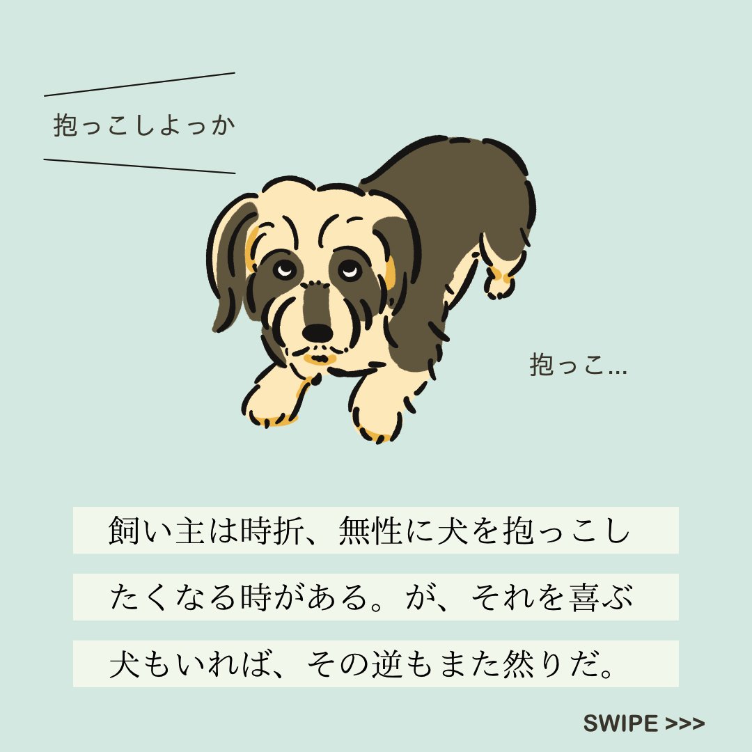 【#変な犬図鑑】
No.164 ダッコキライーヌ
抱っこが苦手なあの犬です。 