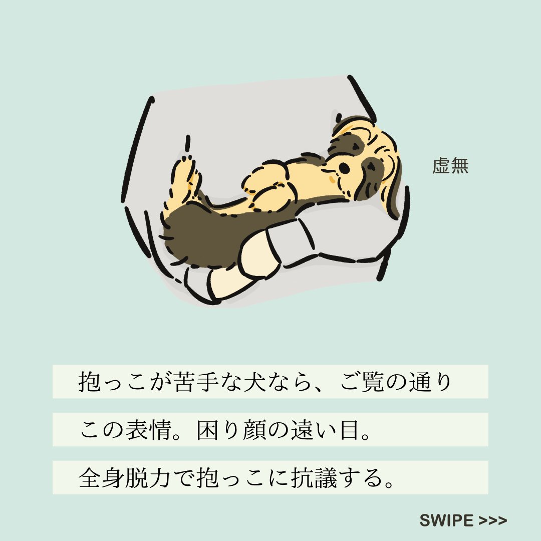 【#変な犬図鑑】
No.164 ダッコキライーヌ
抱っこが苦手なあの犬です。 