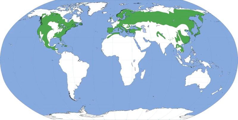 @Kyouseki_Sasaki 松ってそも何処に自生してるん？と思って調べたら北半球の一部だけなんですね
最近の異世界転生物はヨーロッパと日本をごちゃまぜにしたような世界観だから松みたいなものはあるのかも
むしろアフリカやグンマーみたいな所に行った方が飲めなさそうだなぁ 
