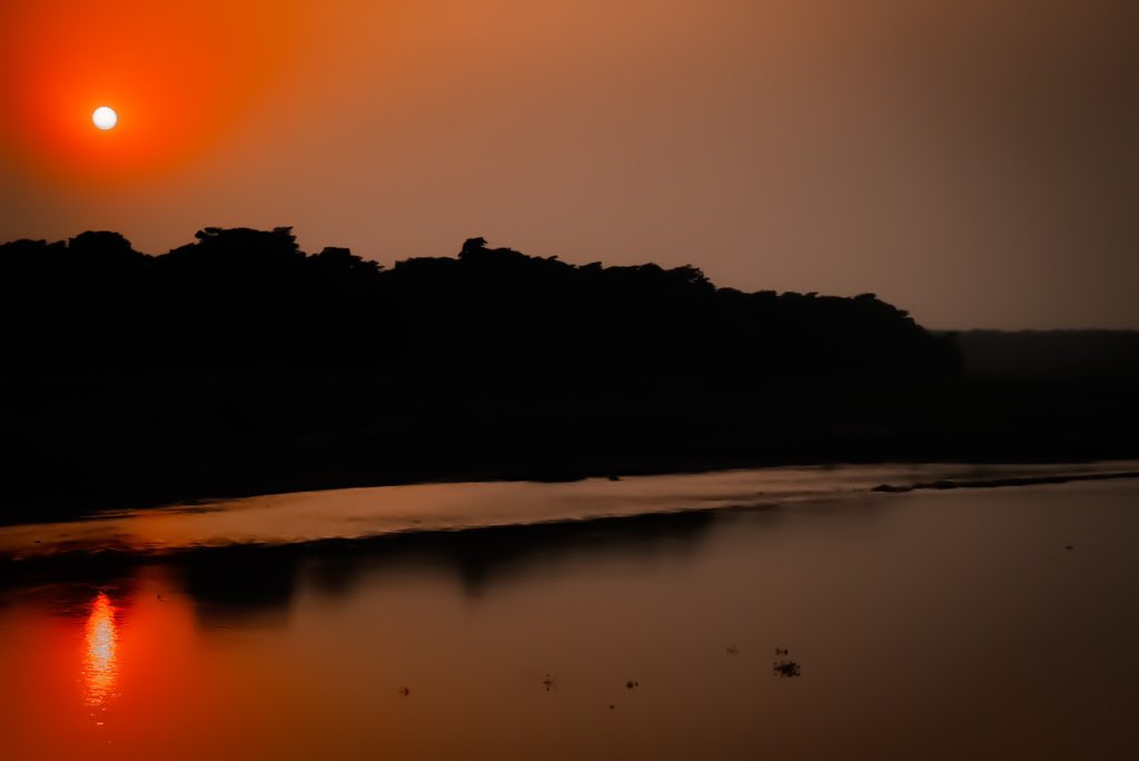 The Golden hours of Sauraha! 
.
.
.
#Sauraha #Chitwan #Hometown #NationalPark #Nepal #SandeepLamichhane #2FIVE #WildLife #Peace