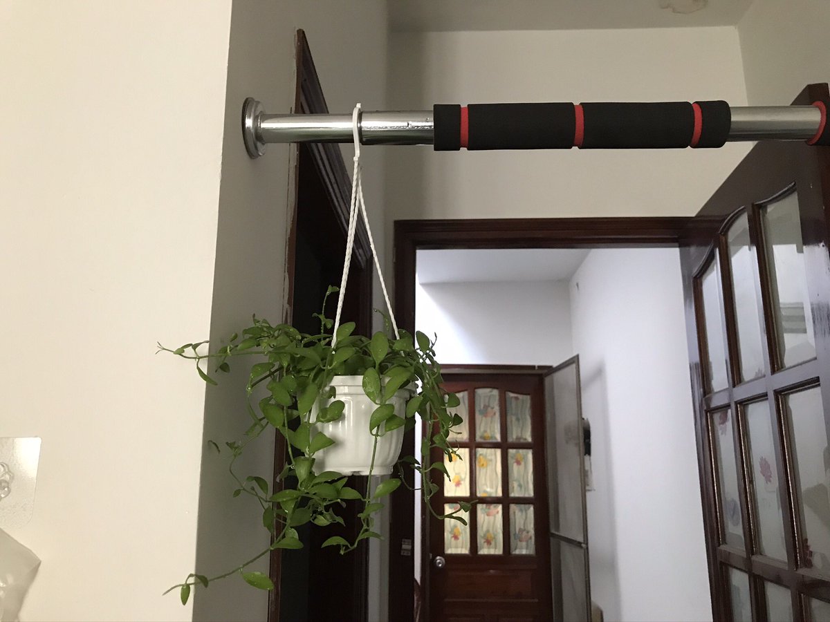 Shy Girl tweet media