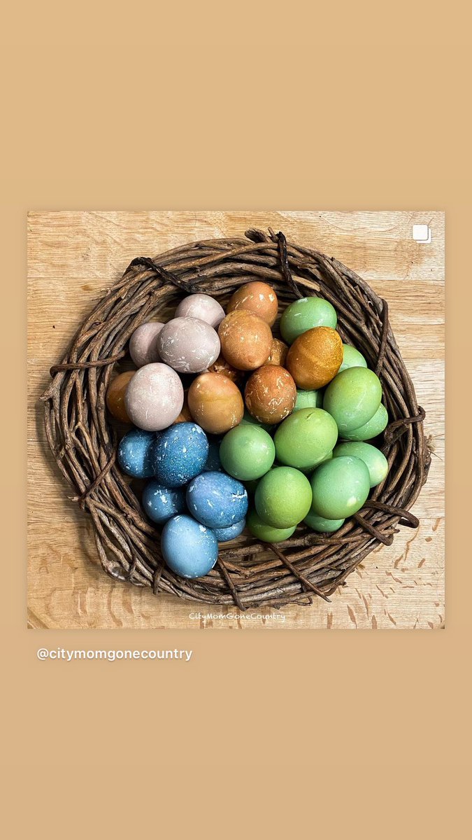 MomGoneCountry's tweet photo. Happy Easter! https://t.co/GWbbEO0p3X