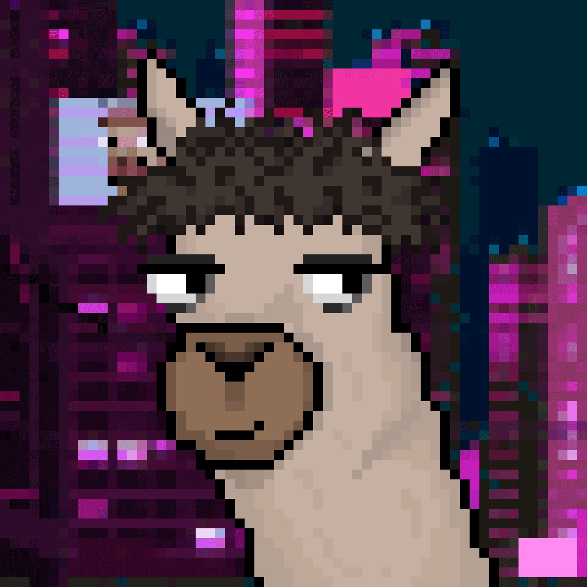 TraditoreEth's tweet photo. After not winning any of the big raffles recently -
I am trying a social experiment to see if getting more followers can change my luck.

Need the llama fam to support me in these dark and trying times.
#LlamaFollowLllama #Llamaverse https://t.co/15qTsYm9lz
