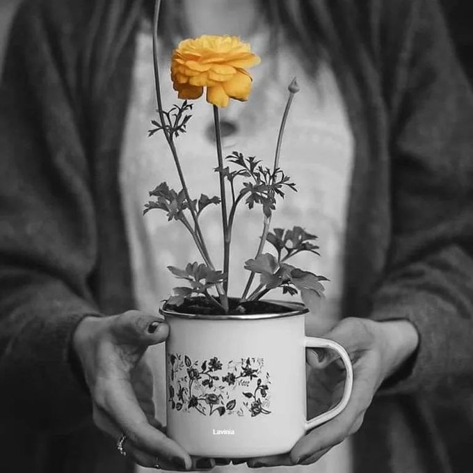 ''Açar bir gün elbet yeniden gönlümüzün çiçekleri.''