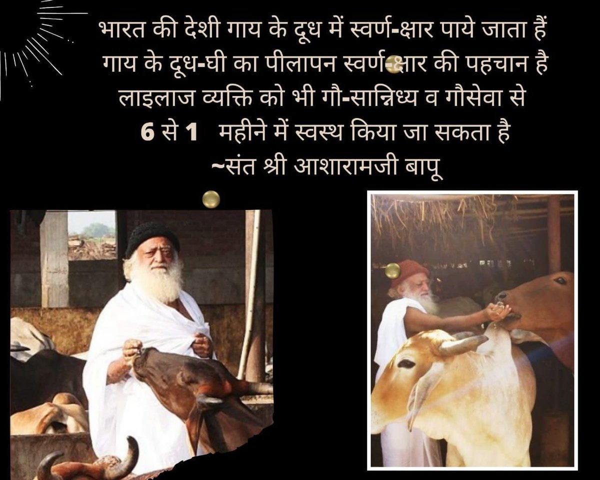 गौरक्षक संत Sant Shri Asharamji Bapu Says - गाय हमें पालती हैं। देशी गाय के रीढ की हड्डी के पास सूर्य केतु नाडी होती जो सूर्य से निकलने वाली सूर्यकेतु किरणों को अवशोषित करती है जिससे गाय के दूध मे स्वर्णक्षार पाया जाता है। #गौसेवा_परम_हितकारी