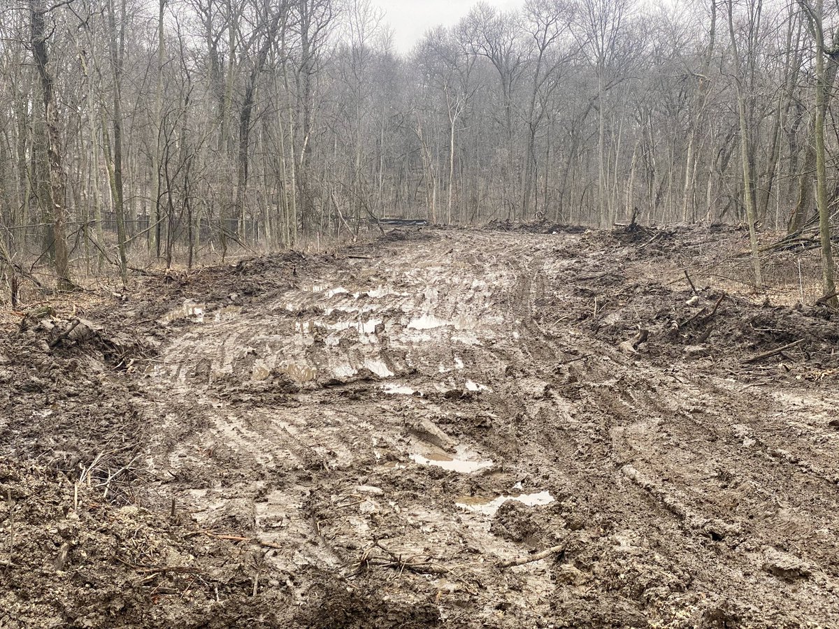 Save the Rookery tweet media