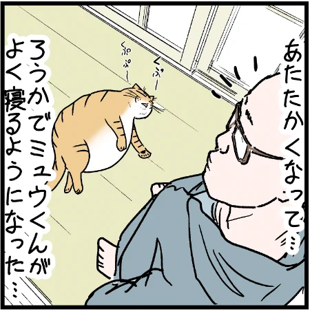 なぜそう動くのか!ミュウくんよ! #ニャンコ #まんが #猫 #猫あるある #猫漫画 #ペット #飼い主 #エッセイ漫画 #キャット #ねこのいる生活 #4コマ 