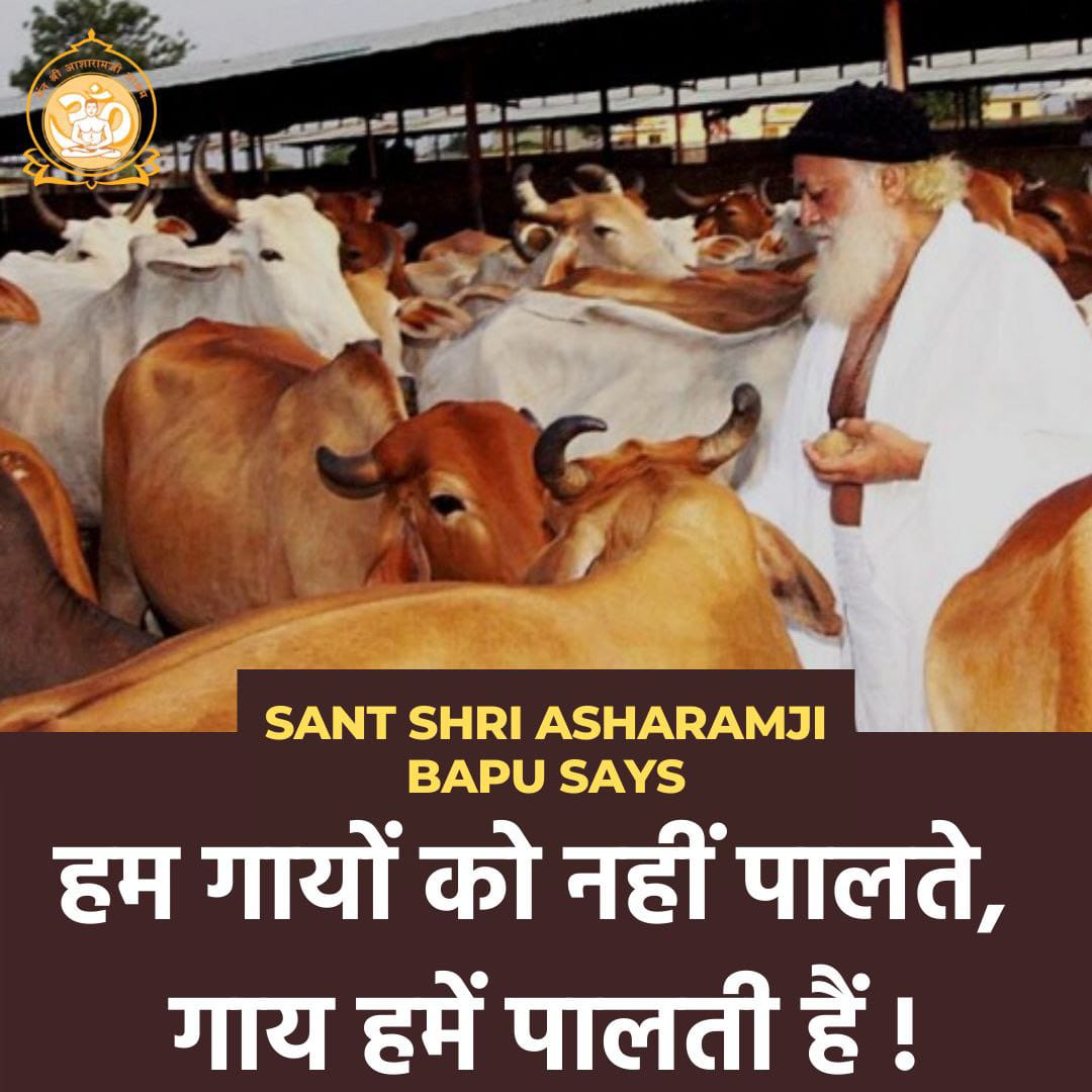 गौरक्षक संत Sant Shri Asharamji Bapu कहते है गौमूत्र, गोबर से निर्मित खाद एवं गौ-उपस्थिति का खेतों में सदुपयोग किया जावे। भारत को भूकम्प की आपदाओं से बचाने के लिए गौसेवा मददगार है ! गाय हमें पालती हैं । #गौसेवा_परम_हितकारी