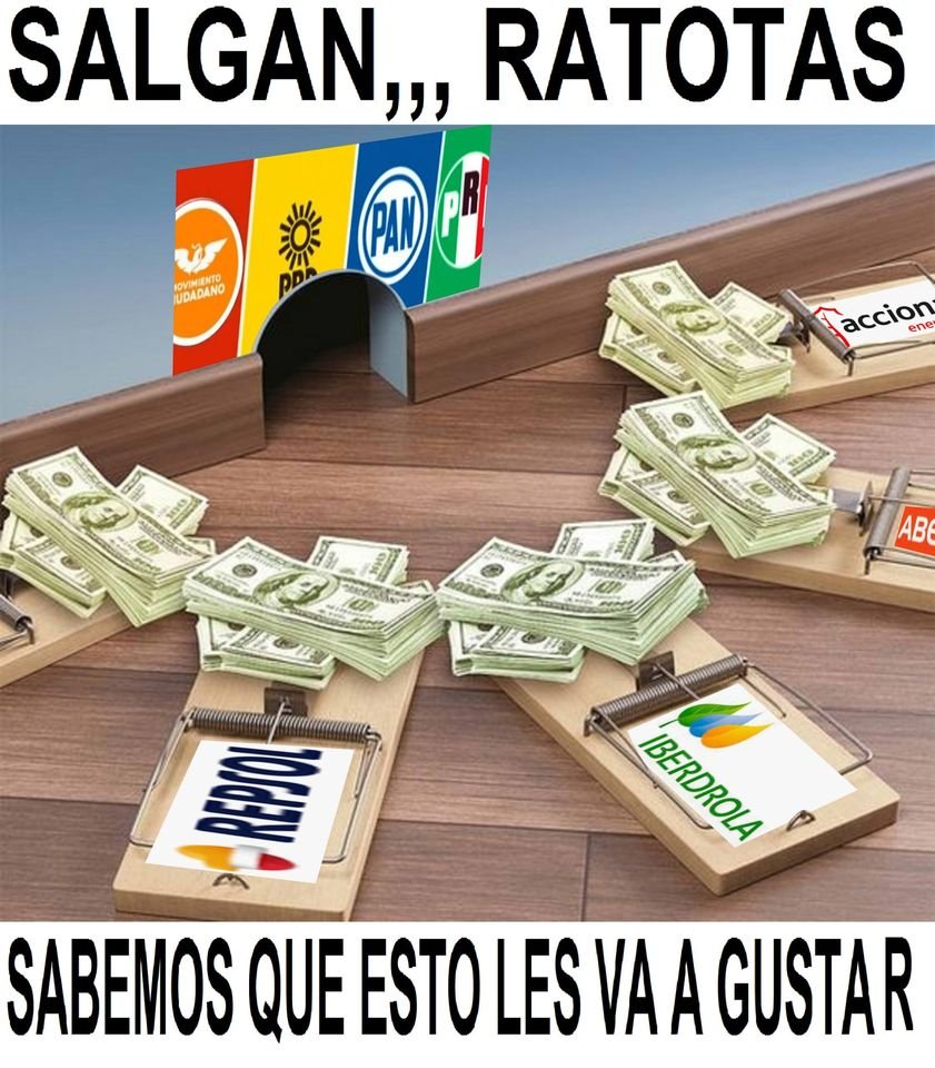 SandraM79118120's tweet photo. La defensa de sus #Moches de la oposició la defienden a 20 uñas y su arma poderosa La Mentira, algo normal en los priistas, algo normal en los panistas, #TRAIDORES_A_LA_PATRIA hoy pierde México, los únicos que ganan son los que les llegó su Depo$ito https://t.co/7ISjFnJ83C