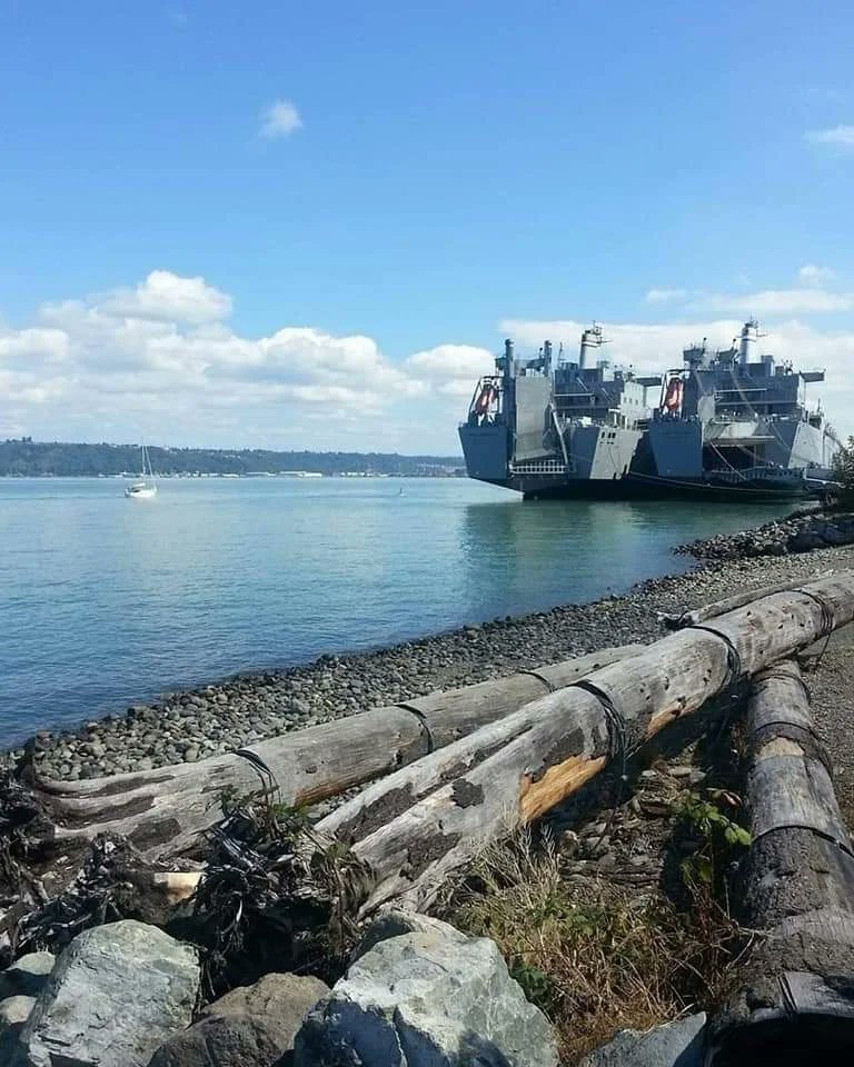 BasqueTraveler's tweet image. The PNW is magical ✨️