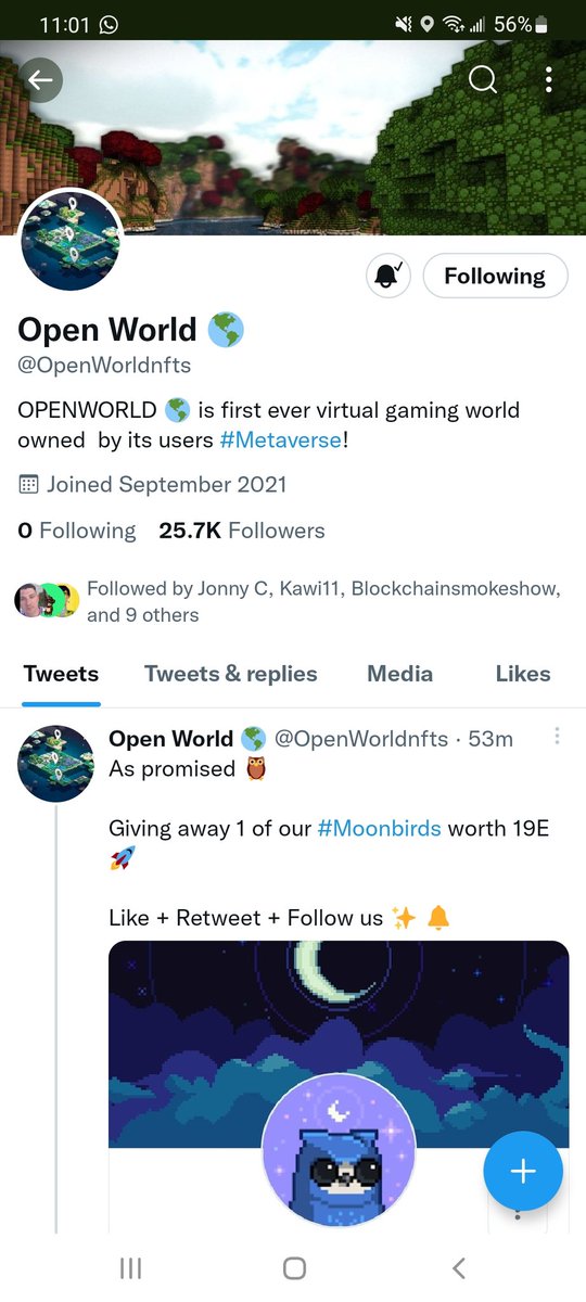 TheCaptainNFT's tweet photo. @OpenWorldnfts https://t.co/sGnXHLgtdn