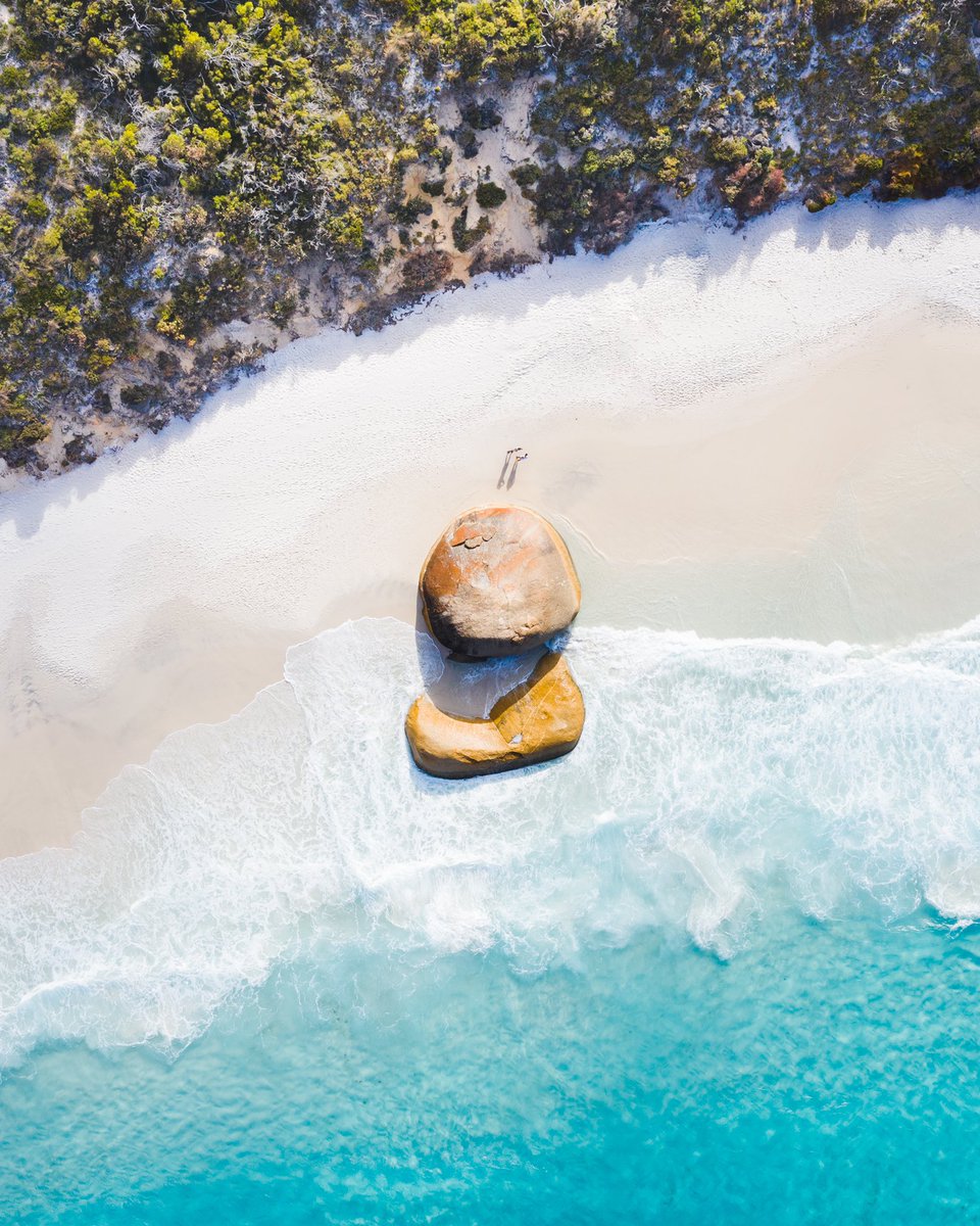 Ash Lark tweet media