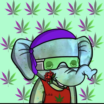 LEG2Johnny's tweet photo. #NewProfilePic #liftedelephantgroup @lifted_elephant https://t.co/wOqTTJDW5c