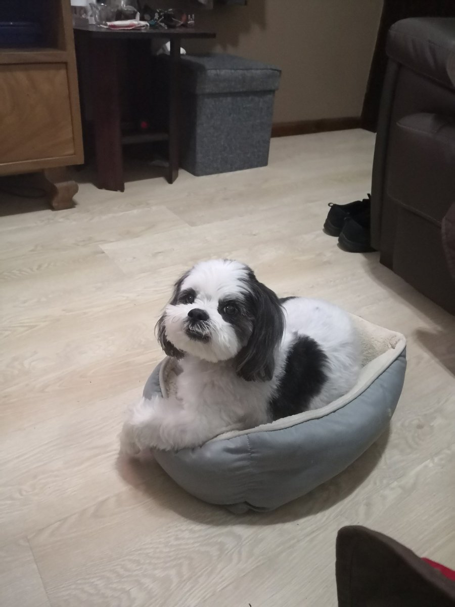 Ginn1216's tweet photo. How would you caption this photo? 😅 https://t.co/zROlC8hwpV