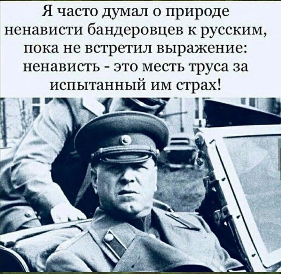 Элен Ермакова (@ermakovatt) on Twitter photo 