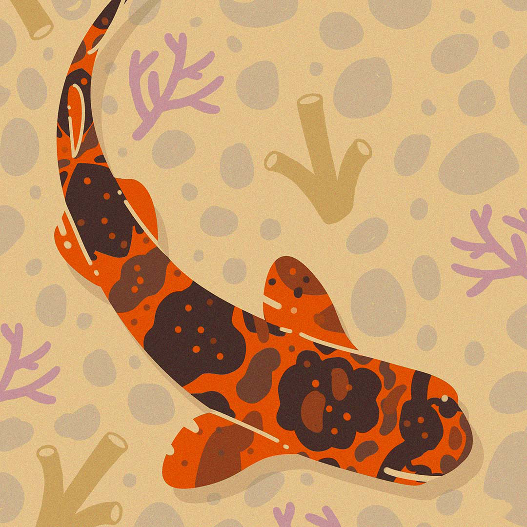 Hope everyone had a great long weekend! Here's a cute little Cloudy catshark to start your week right.

Mint your shark NFT here: sharks.likhanft.io 🦈🇵🇭

#NFTPhilippines #NFTPH #NFTart #PolygonNFT #SaveOurSharks 
<a href="/LikhaNft/">Likha</a>