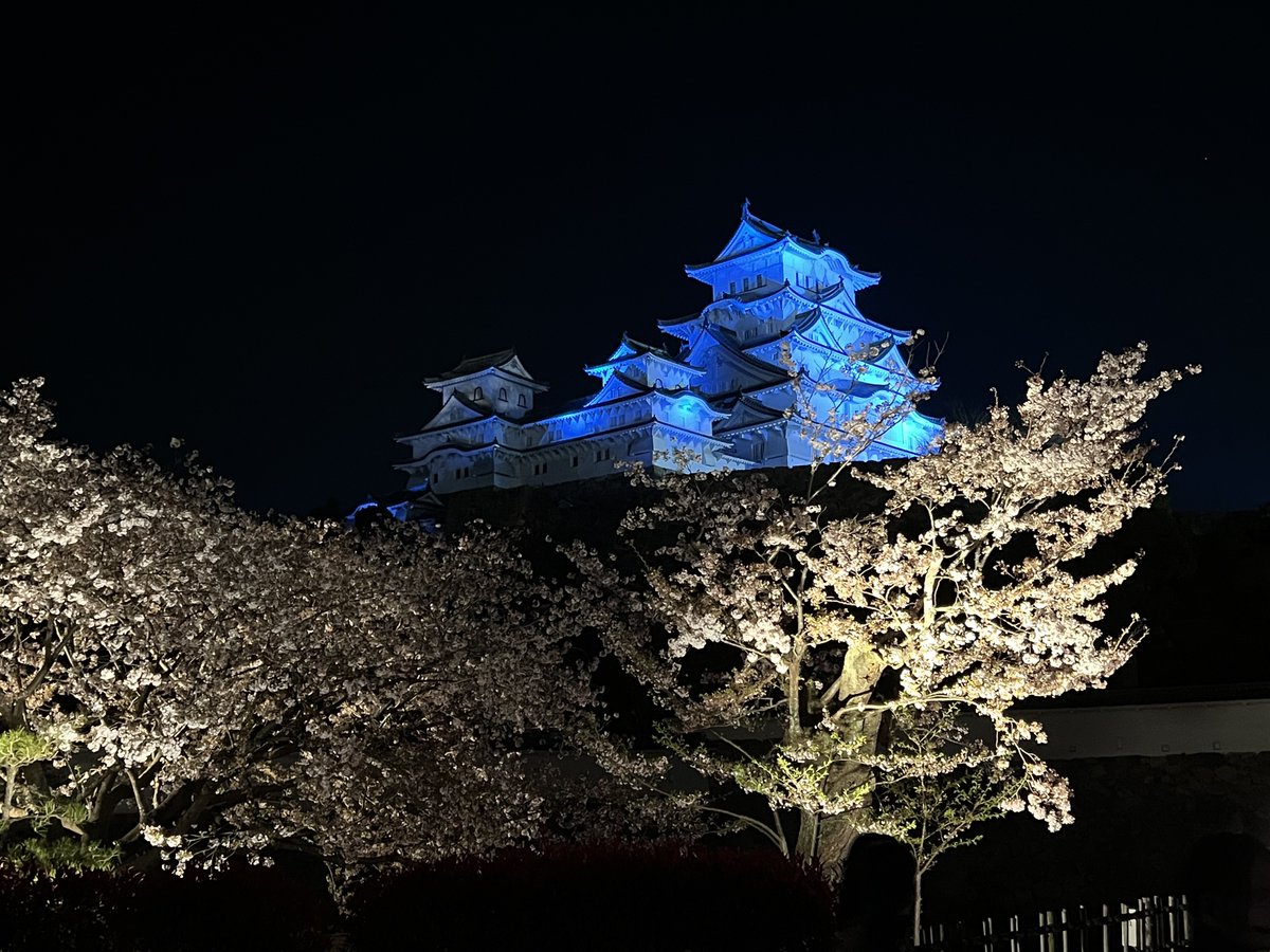 evogames12's tweet photo. 美しすぎる…
#姫路城 
＃夜桜 https://t.co/Yg8MMUxXm6