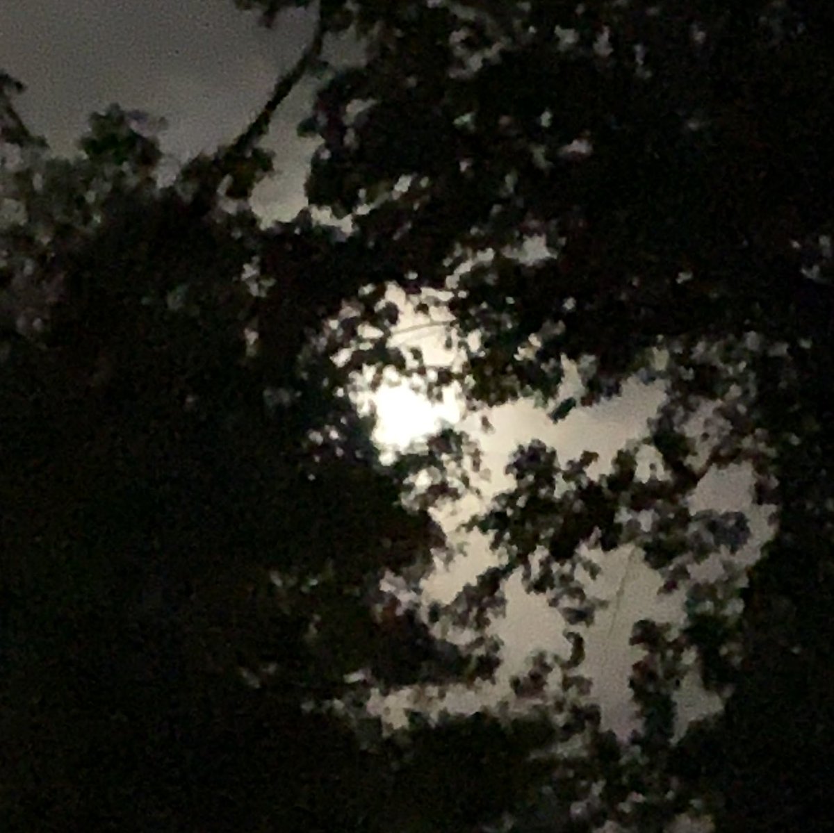 okamoto_sandra's tweet photo. Good night, Columbus! Like last night, the waning gibbous moon, at 97.4%, is hidden by clouds but still valiantly shining brightly. #ColumbusGA #04/17/2022 #gettingcooler #muggy #nobreeze #treefrogsloud #cicadaswakingup #mymoonobsessioncontinues https://t.co/gBTBXgnE6B