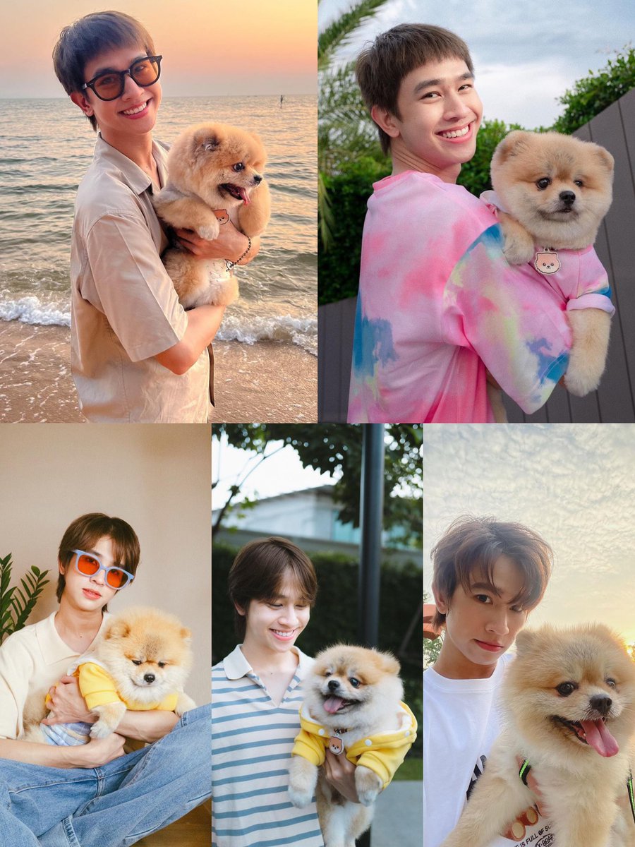 0620_Nicole's tweet photo. Tawan🐶: I try to be a qualified little model🥰. 
Maybe I can get an extra sausage😍. 
Even though my dad can hardly hold me.🥺
#เจ้าแก้มก้อน #fluke_natouch https://t.co/pxOQZ6prKz