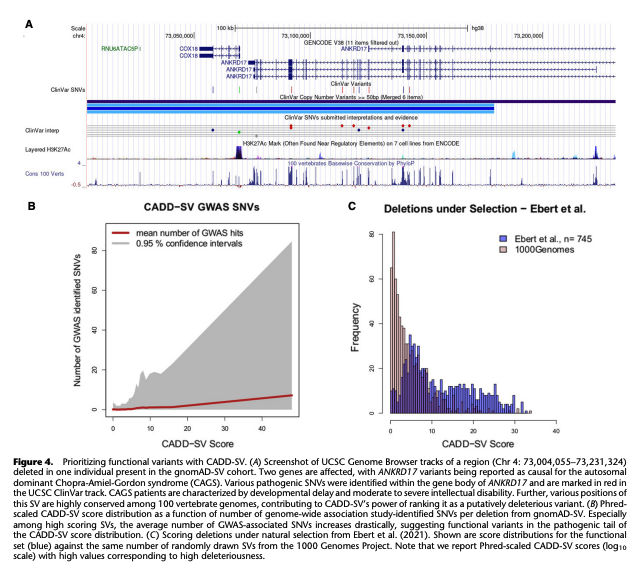 A framework to score the effects of structural variants in health and disease | Genome Research genome.cshlp.org/content/32/4/7… #Bioinformatics