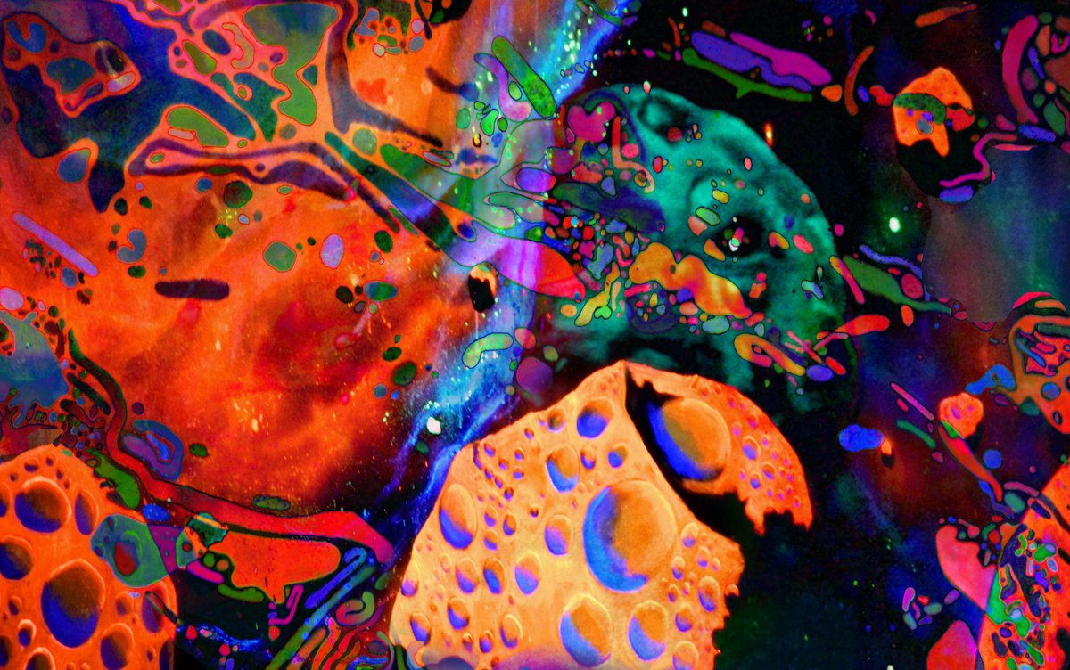 ✨👽NEW DROP, my first NFT <3 👽✨

24 edition  /2 tz 

LINK:objkt.com/asset/KT1SnuFQ…