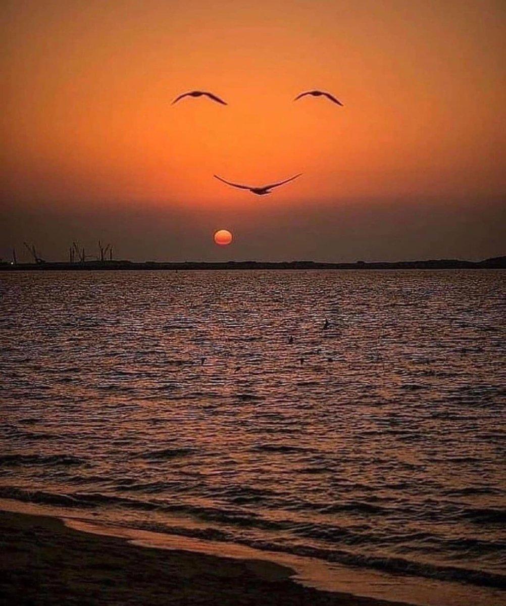 Logan Weitzel tweet media