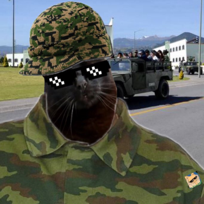 Soy Pepo tweet media