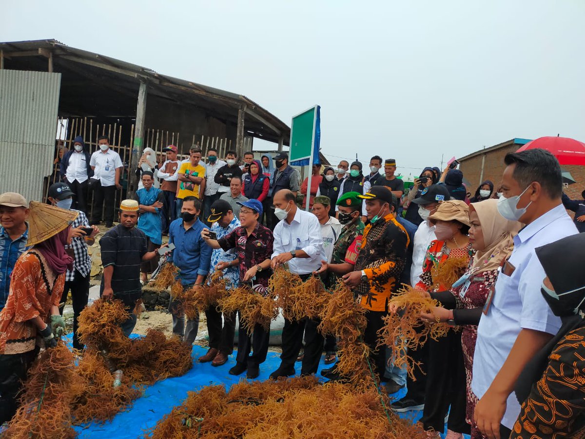 Nurfitrianijafar tweet media