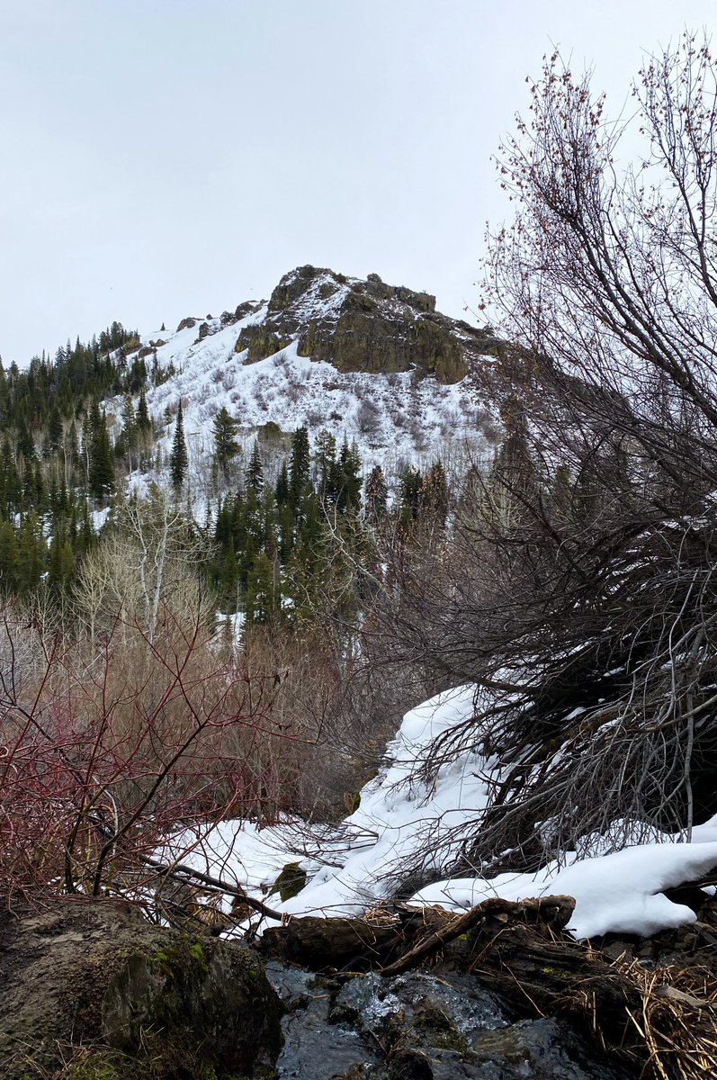 #GothsInNature