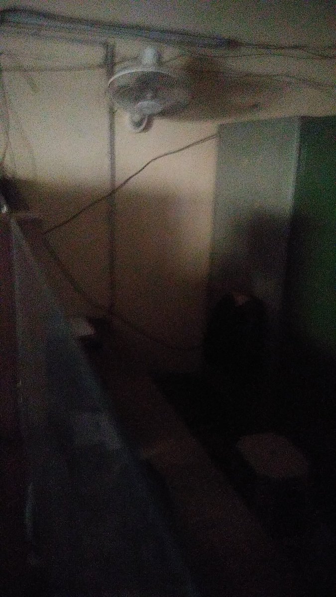 techpushkar's tweet photo. #RTO_Noida work at halt due to power cut. Sadly power cut is daily affair and there is no backup. The employees enjoy power cut Opened office at 10.10am and out for brunch at 10.15
@CMOfficeUP @myogiadityanath @myogioffice @noida_authority @CeoNoida @nitin_gadkari @OfficeOfNG https://t.co/mbHYMYDVEA
