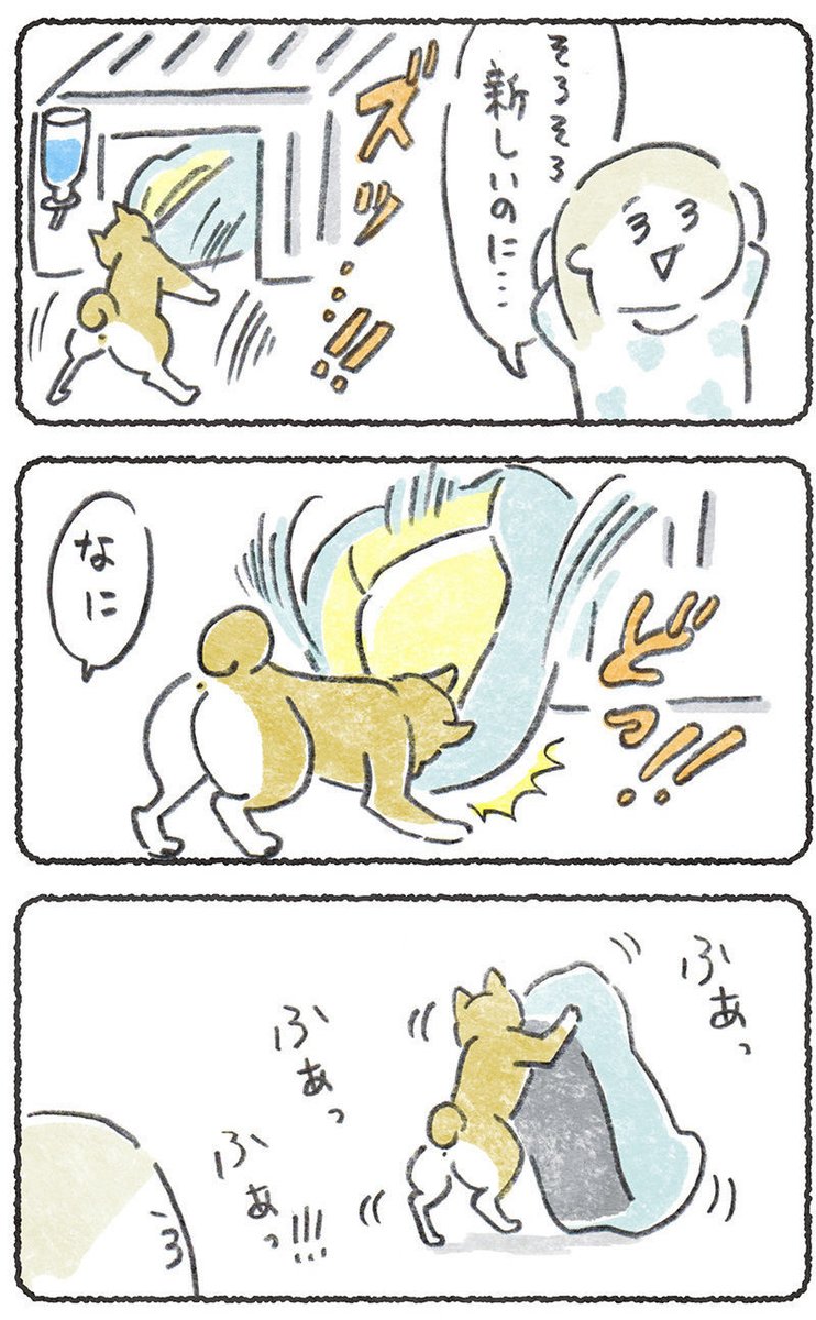 先日のツイートが今も伸びてる状態ですが
ふだんは犬の漫画を描いてます😂

こっちも可愛がってもらえますように☺️🙏

#豆しばこつぶ 