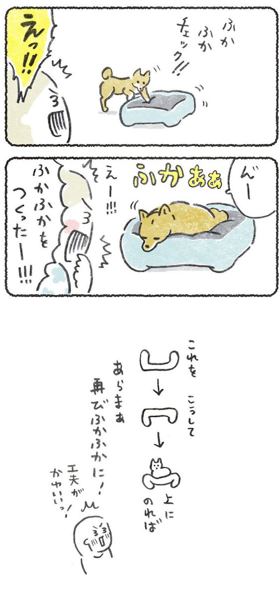 先日のツイートが今も伸びてる状態ですが
ふだんは犬の漫画を描いてます😂

こっちも可愛がってもらえますように☺️🙏

#豆しばこつぶ 